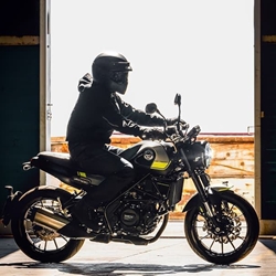 LEONCINO 250 - Imagen 1